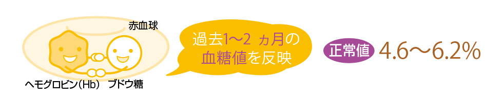 HbA1c:ヘモグロビンエーワンシー