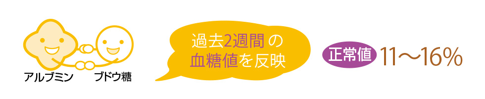 HbA1c:ヘモグロビンエーワンシー